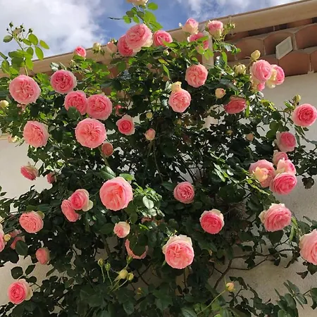L'art De Fer Holiday home Saint-Paul-de-Vence
